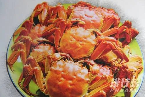 黄河口大闸蟹介绍_黄河口大闸蟹能放几天