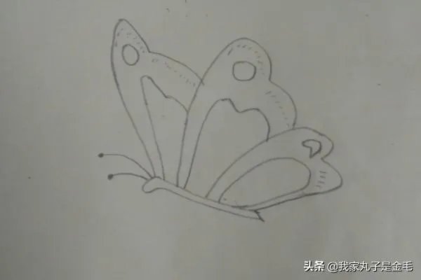 蝴蝶简笔画怎么画?
