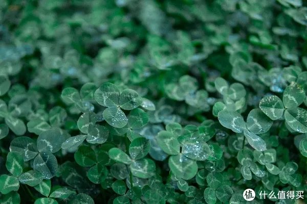 a6400开箱与三天使用体验 「多图预警!」