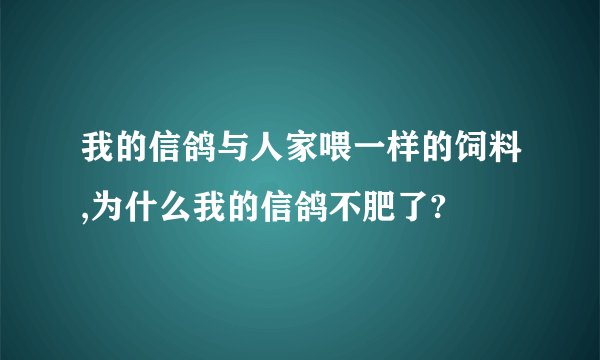 我的信鸽与人家喂一样的饲料,为什么我的信鸽不肥了?