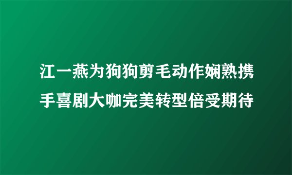 江一燕为狗狗剪毛动作娴熟携手喜剧大咖完美转型倍受期待