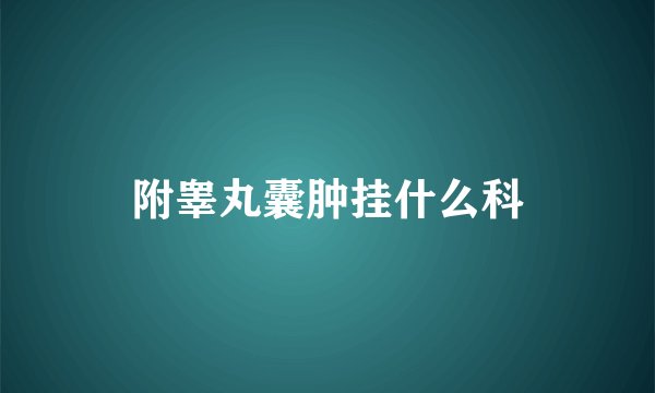 附睾丸囊肿挂什么科