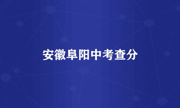 安徽阜阳中考查分