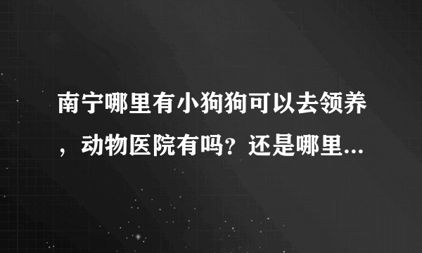 南宁哪里有小狗狗可以去领养，动物医院有吗？还是哪里？不要说那些什么网站，我看了也没什么用，都是卖狗的