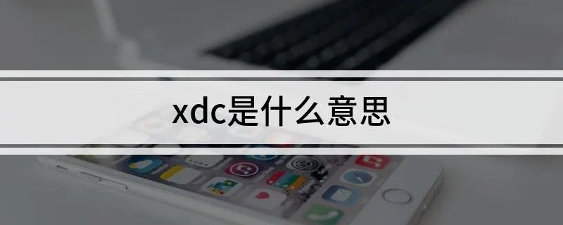 xdc是什么意思