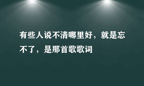 有些人说不清哪里好，就是忘不了，是那首歌歌词