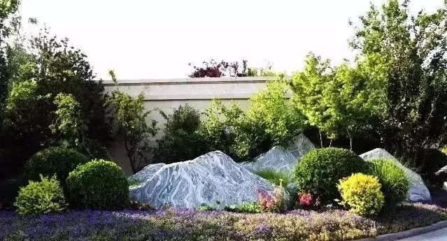 庭院里的这一方石头，历经千年，大有讲究