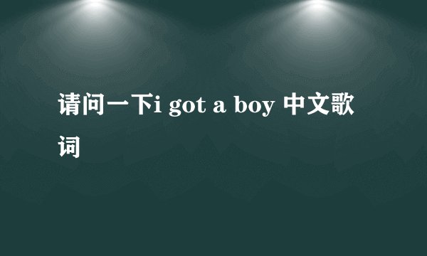 请问一下i got a boy 中文歌词