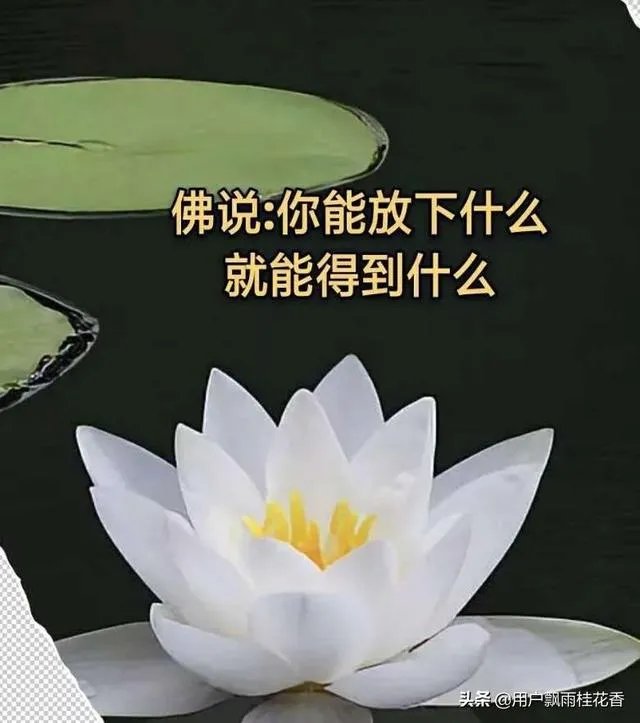 你见过级别最低的却又很伟大的荣誉证书是什么？