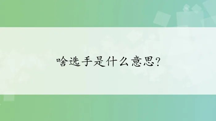 啥选手是什么意思？