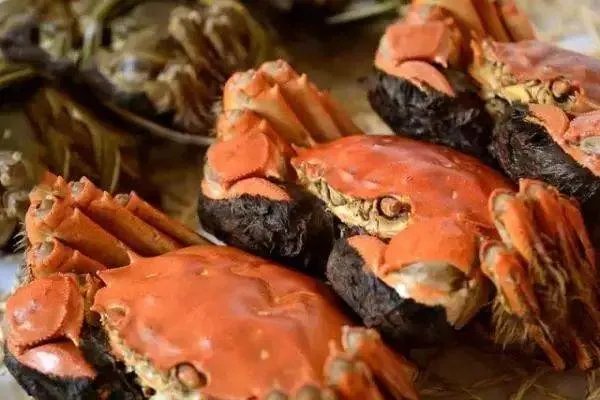 长沙哪里的大闸蟹好吃 长沙吃大闸蟹的地方推荐