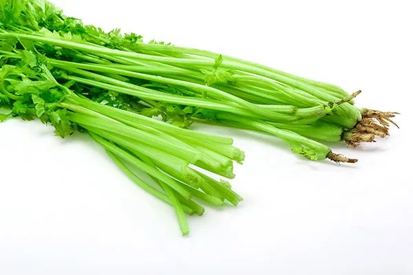 血压高吃什么食物可以降下来