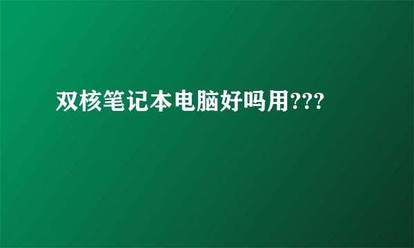 双核笔记本电脑好吗用???