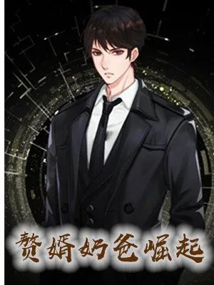 赘婿奶爸崛起小说 秦戈全文在线阅读