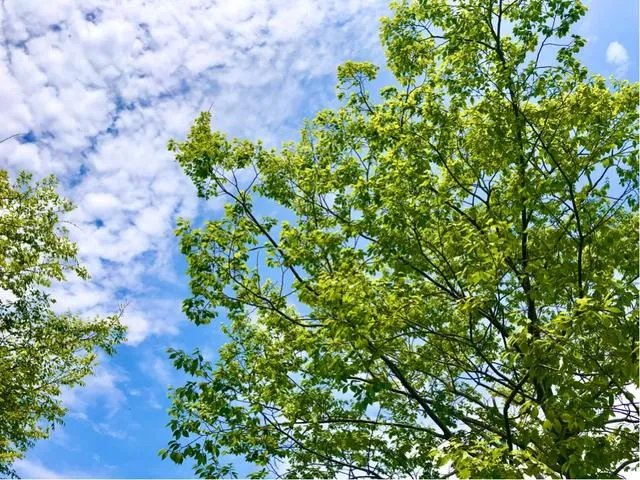 上海疫情已经降为三级,小区与小区之间的门什么时候通?