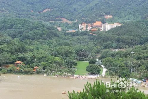 深圳仙湖植物园旅游攻略