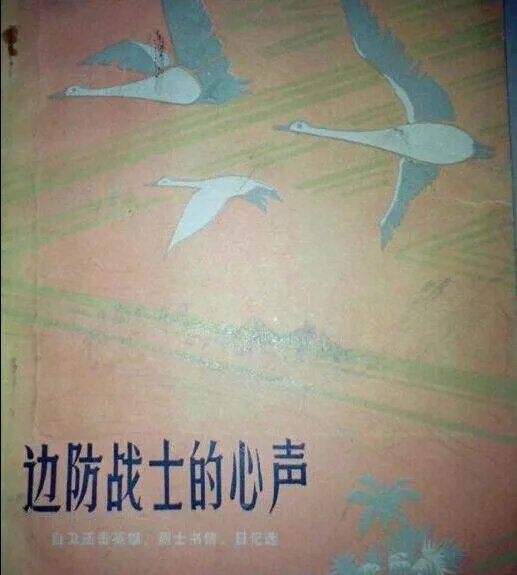 对越自卫反击战纪实书籍