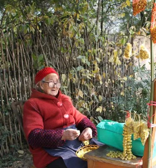 梅花婆婆是何许人也？