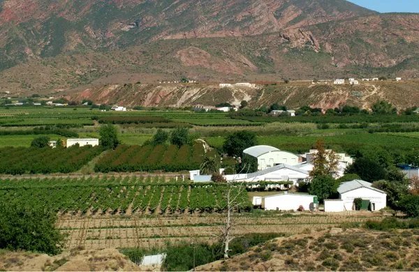 南非有那些葡萄酒酒庄？