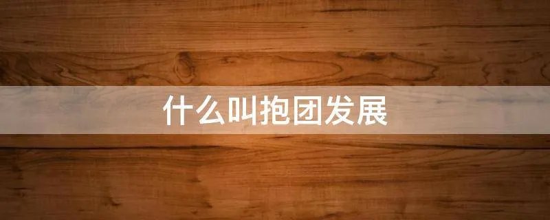 什么叫抱团发展