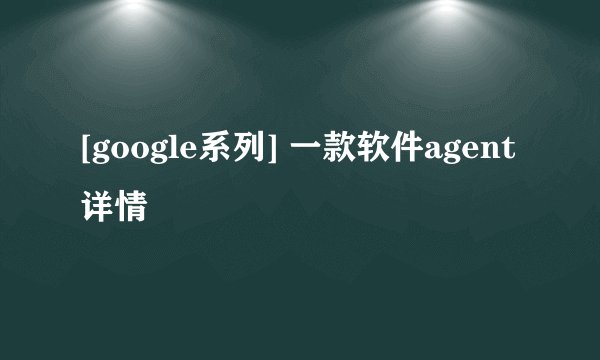 [google系列] 一款软件agent详情