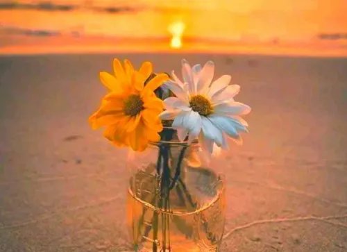 有感情洁癖怎么办 怎么消除感情洁癖