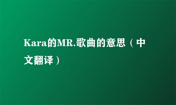 Kara的MR.歌曲的意思（中文翻译）