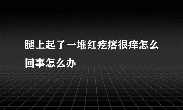 腿上起了一堆红疙瘩很痒怎么回事怎么办