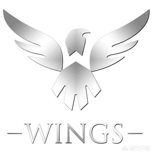 中国电子竞技史上有哪些让你感到热血沸腾的夺冠？