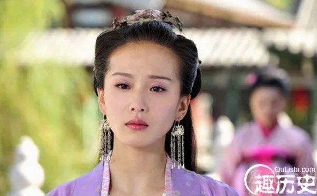 嘉仪公主的简介 历史上有没有一位叫嘉仪公主