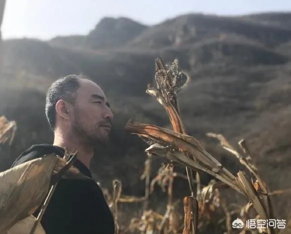 旭日阳刚组合，两个人的近况如何？