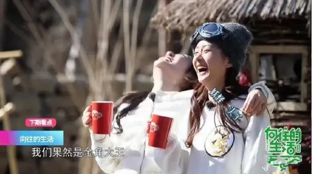 赵丽颖放飞自我是怎么回事？