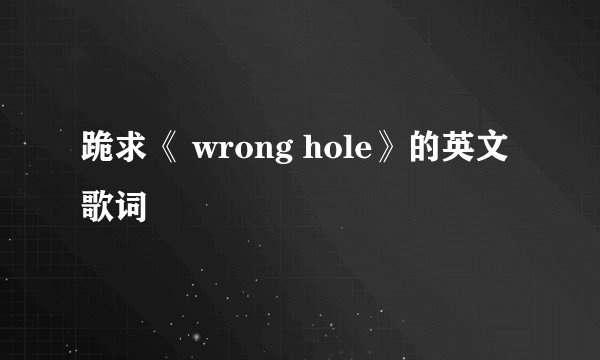 跪求《 wrong hole》的英文歌词
