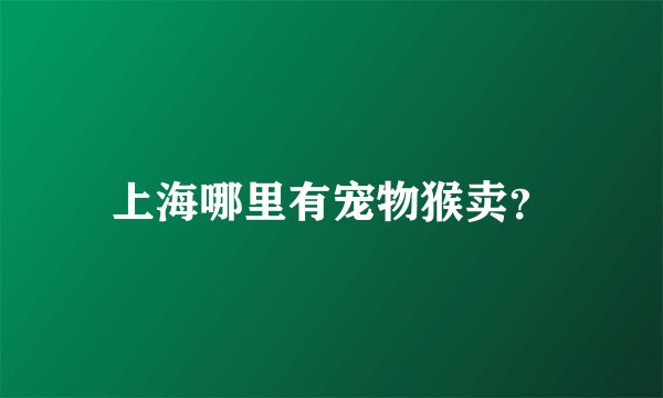 上海哪里有宠物猴卖？