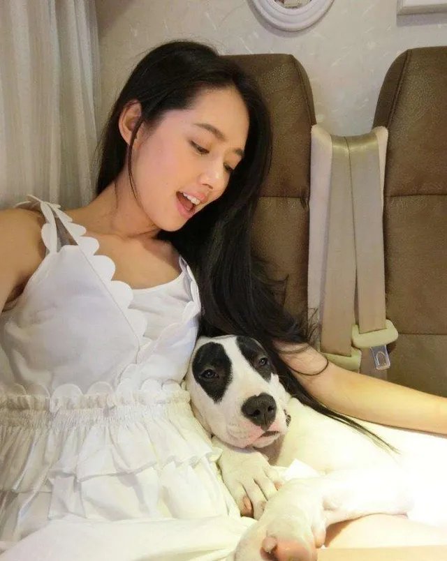 向太否认郭碧婷已生女,称向佐上周才获批赴台陪产,郭碧婷怀的真是女孩?