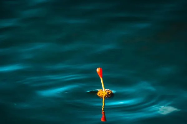 冬天锚钩锚鱼技巧