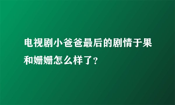 电视剧小爸爸最后的剧情于果和姗姗怎么样了？