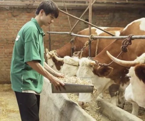 魏大勋开荒犁地什么情况 魏大勋开荒犁地是第几期