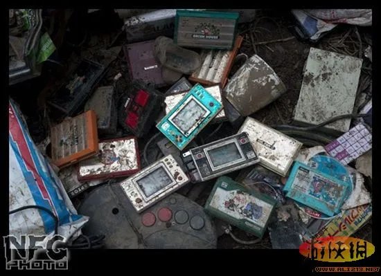 百年洪水来袭 澳洲玩家藏品惨遭洪水蹂躏(图)