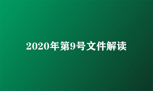 2020年第9号文件解读