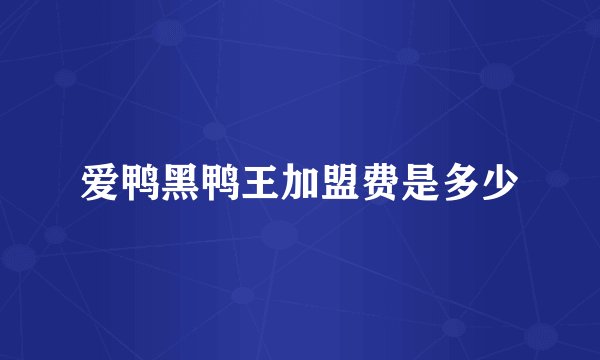 爱鸭黑鸭王加盟费是多少