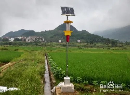 如何操作使用智慧物联网杀虫灯?