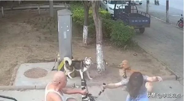 女子路边树上拴狗没让儿童靠近,老人骑车猛撞狗主人,你怎么看?