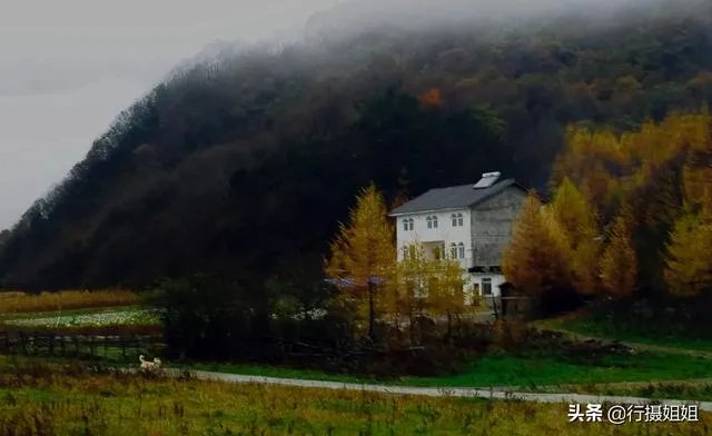 阴雨天如何拍出好照片?