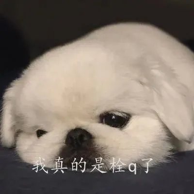 栓q什么意思 拴q是什么梗
