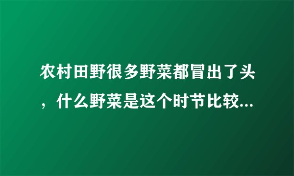 农村田野很多野菜都冒出了头，什么野菜是这个时节比较好采又好吃的？