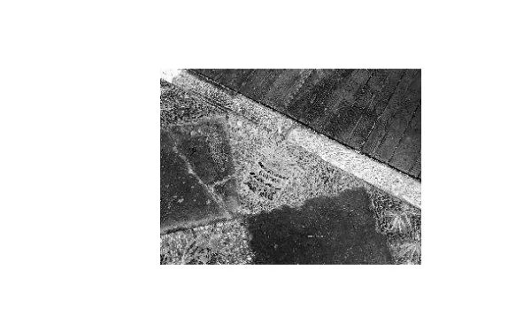 故宫御花园石子被“抠走”留念了?