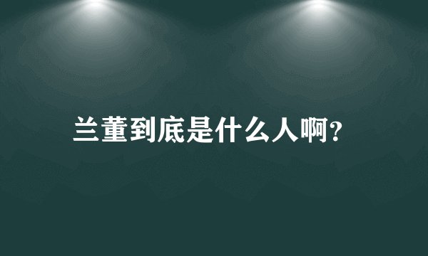 兰董到底是什么人啊？