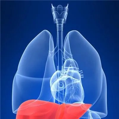 右上腹部隐痛的原因？几重原因？