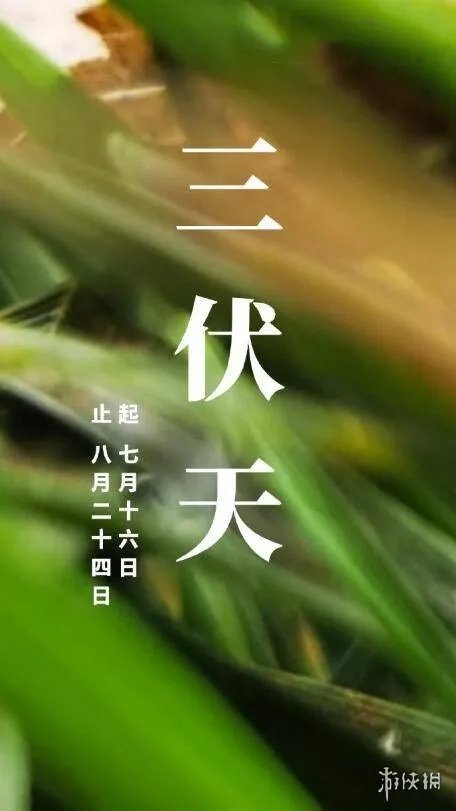 加长版三伏天今日开启 三伏天注意事项及养身